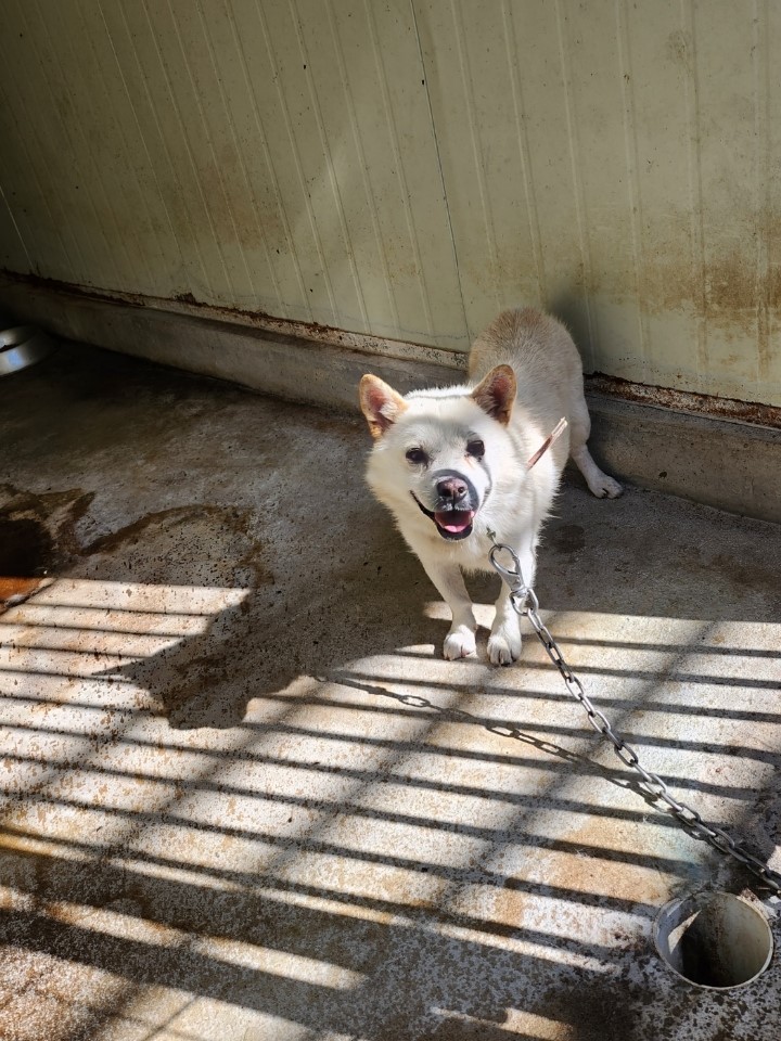 영주시 동물보호센터_447509202300200